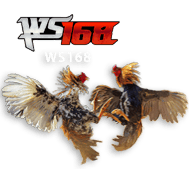 ws168 KODE69